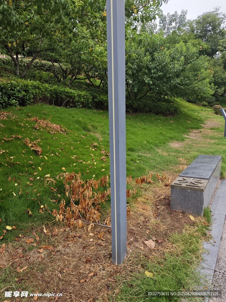 公園小徑旁的綠植與設(shè)施