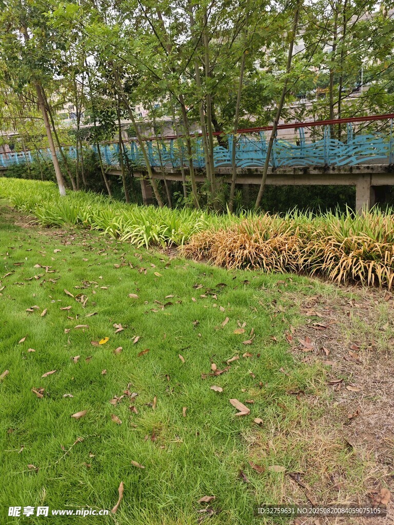 綠意盎然的戶外園林景觀