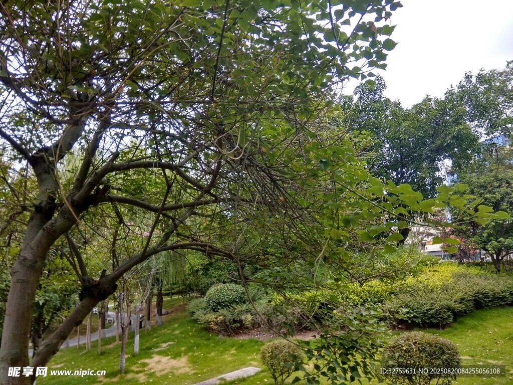 靜謐園林景致