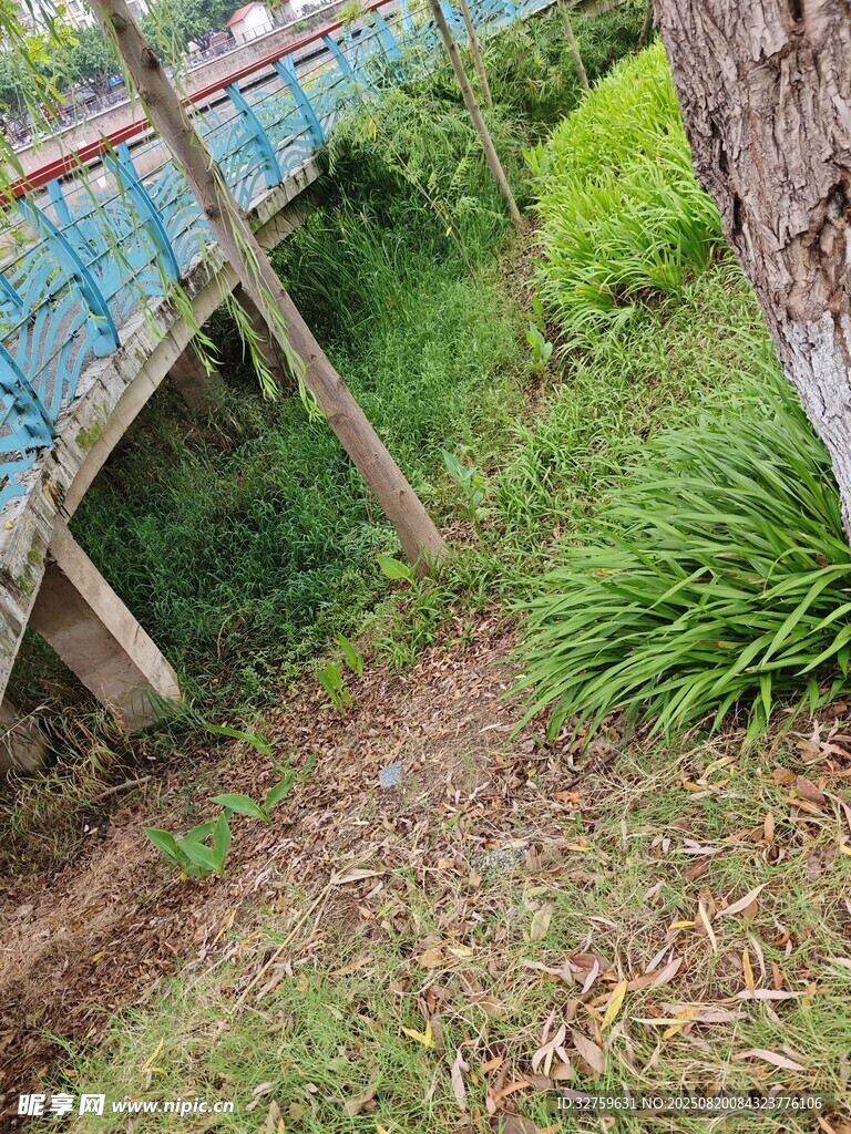 戶(hù)外綠植旁的木質(zhì)結(jié)構(gòu)