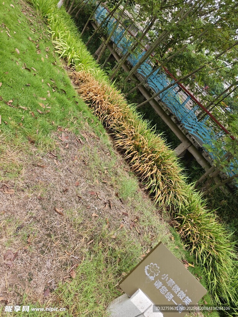 戶外綠植景觀一角