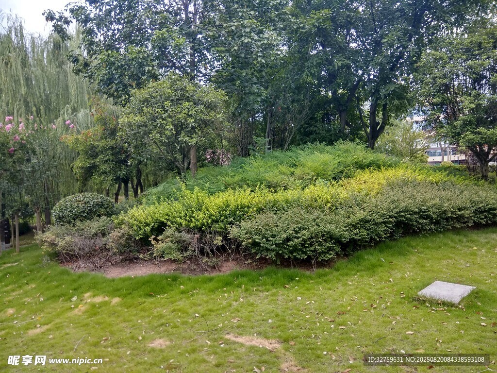 綠意盎然的園林景觀
