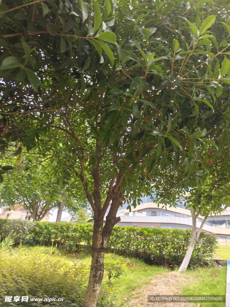 綠樹成蔭的戶外小徑