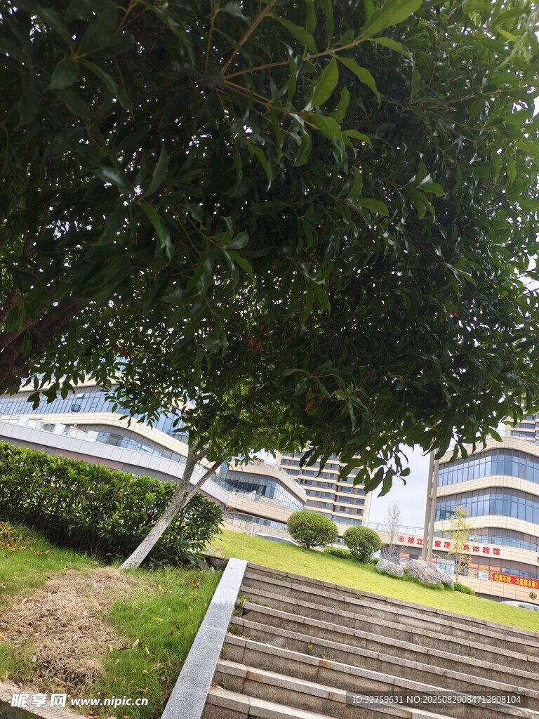 校園階梯旁綠意盎然景象