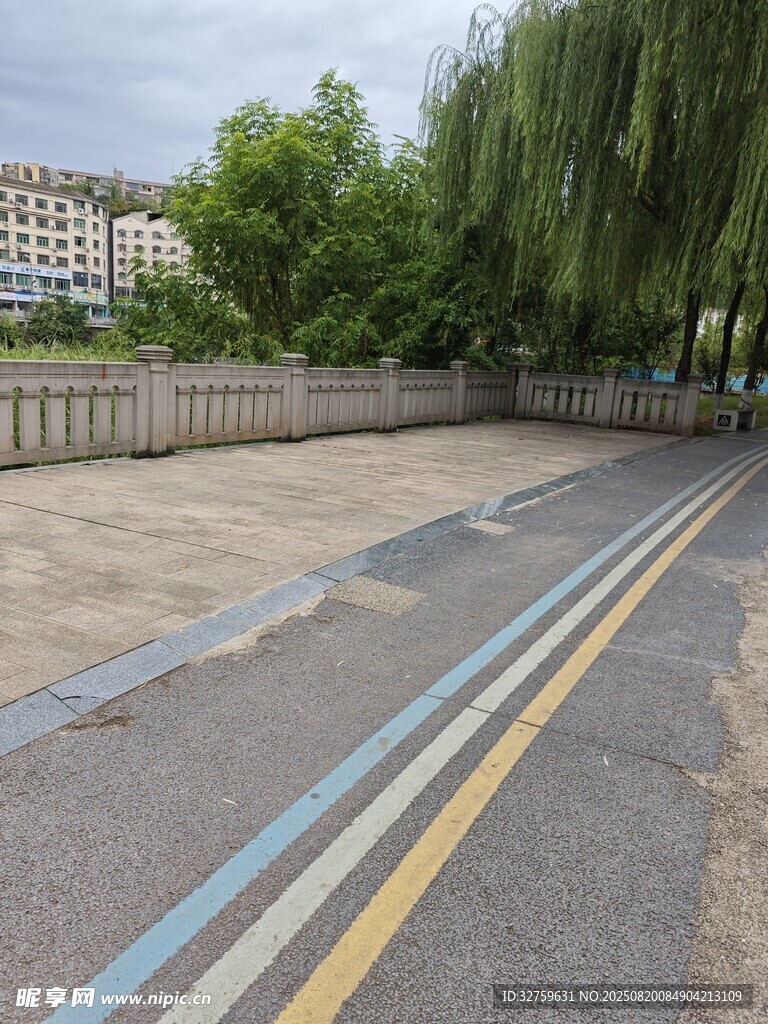 城市道路旁的綠樹與標(biāo)線
