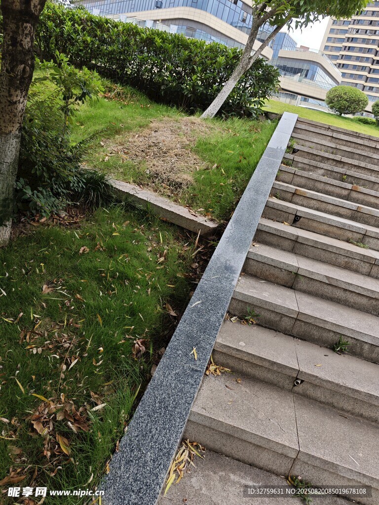 戶外石階旁的綠植景致