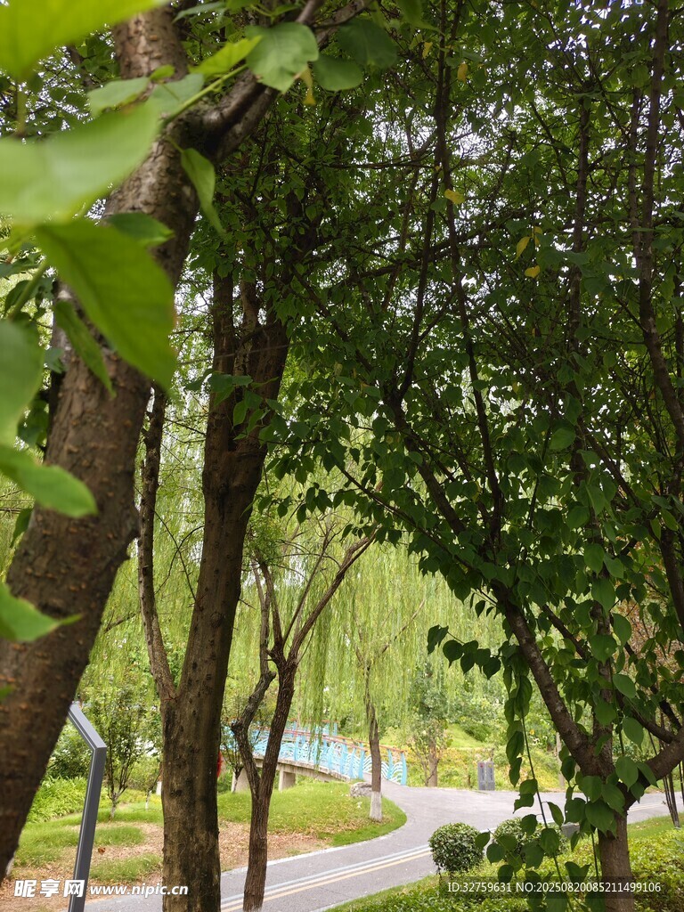 林間綠意