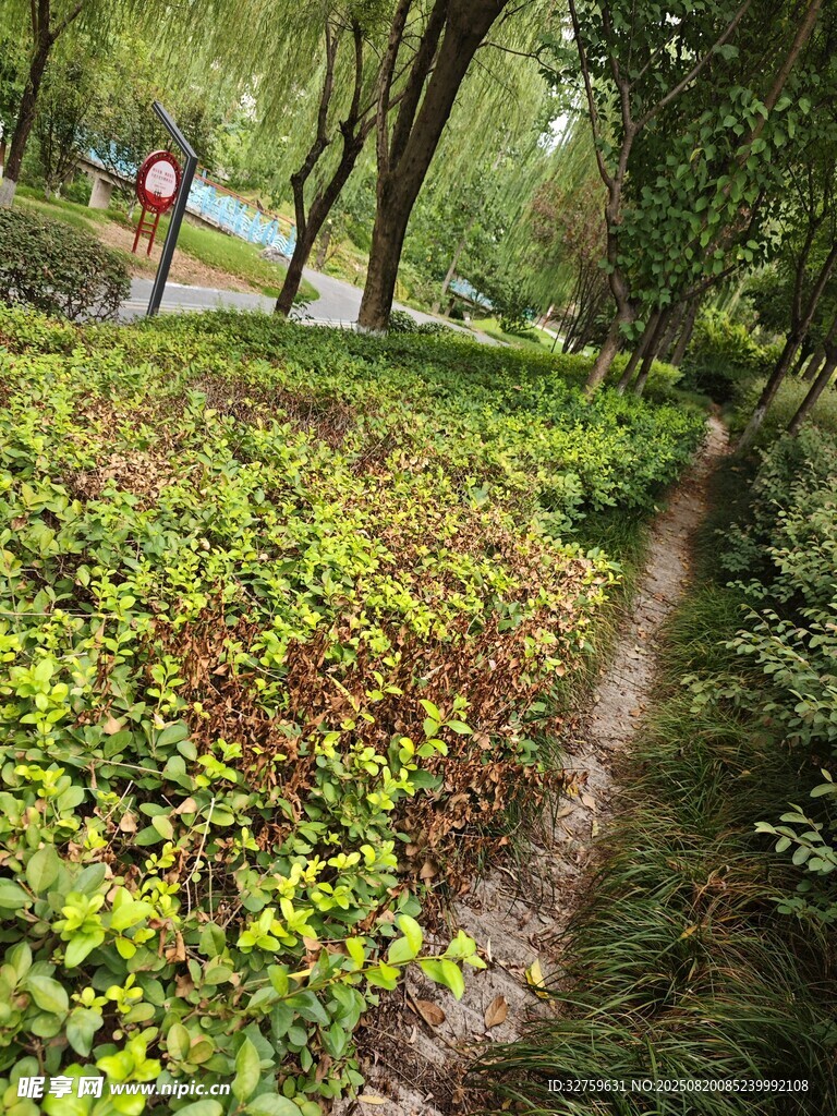 綠意盎然的景致