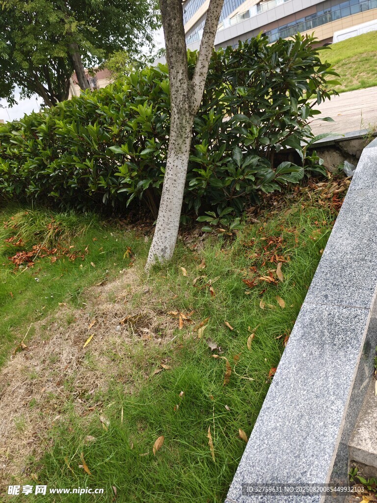 路邊綠植與傾斜石碑場(chǎng)景