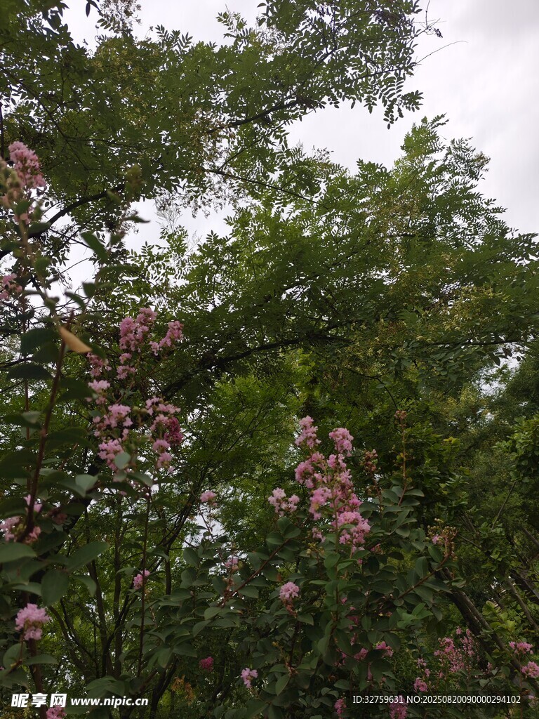 繁花綠樹的自然景致