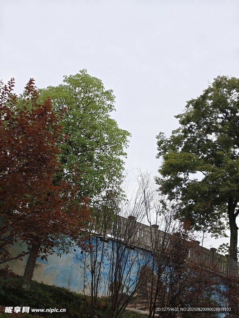 戶外樹木與藍(lán)色建筑景觀