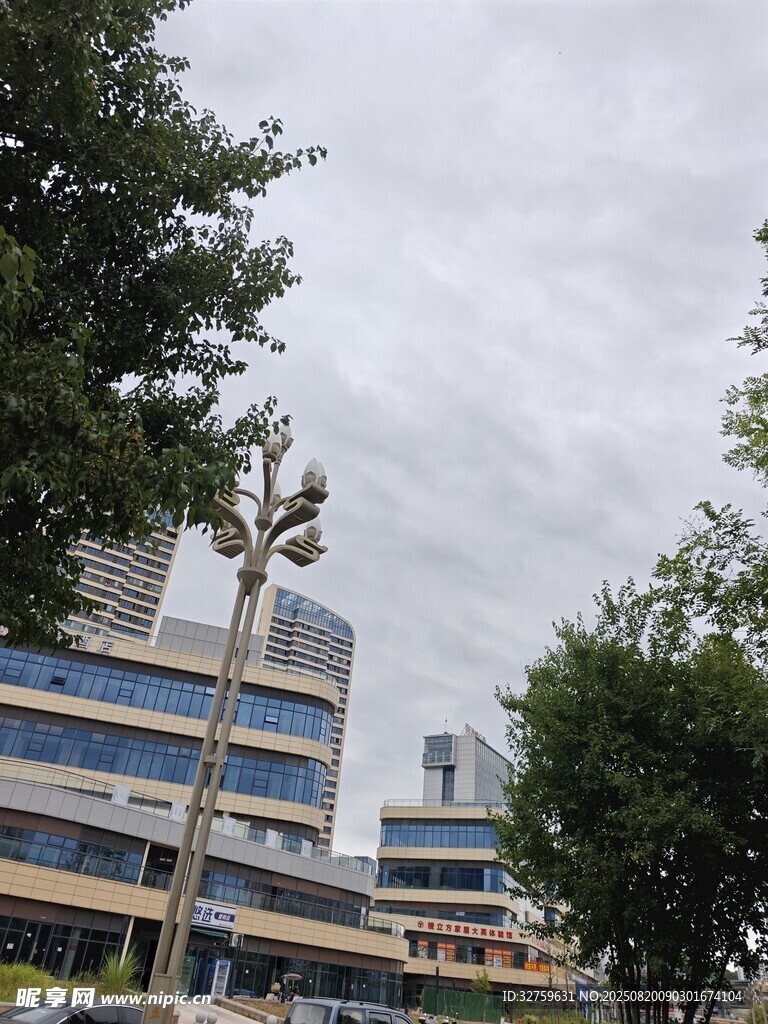 城市街道旁的建筑與綠樹