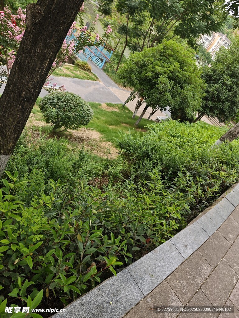 城市街角綠意盎然景觀