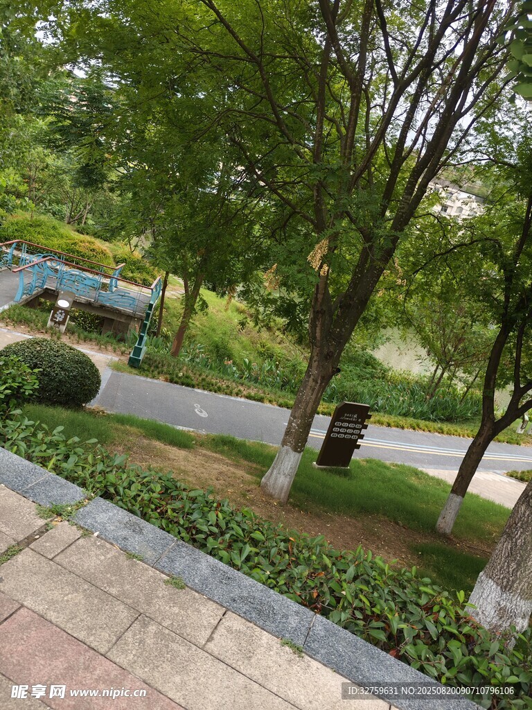 城市街邊綠意盎然景致