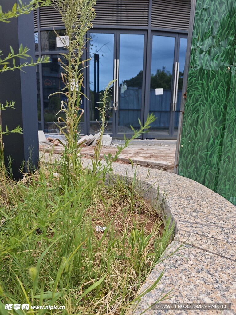 城市角落的綠植景觀