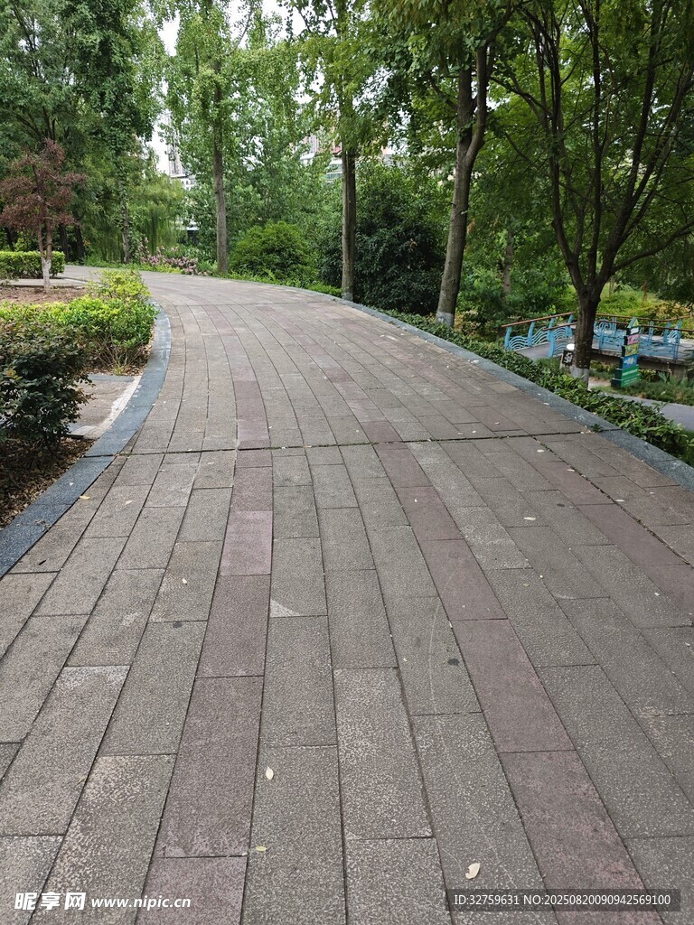 林間磚石鋪就的幽靜步道