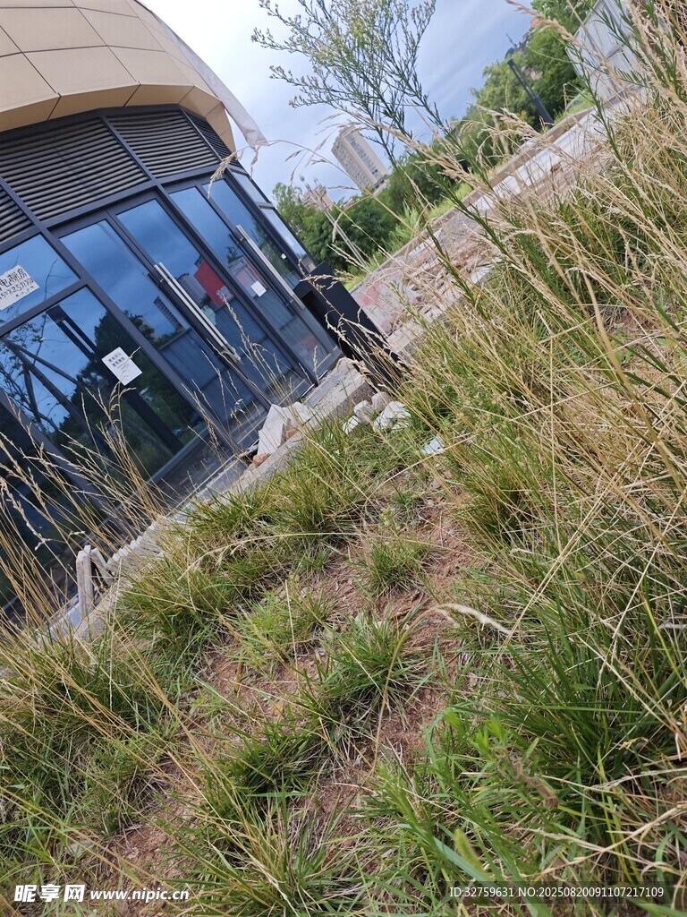 戶外建筑旁的綠植景觀