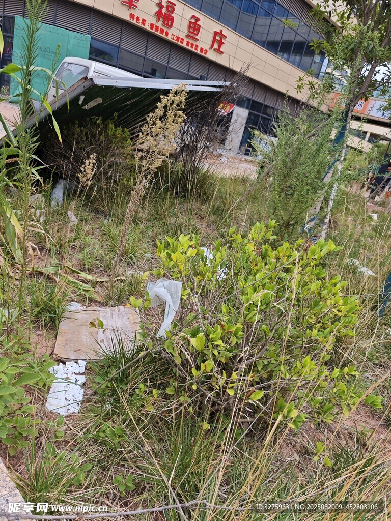 荒廢店鋪旁的雜草叢生景象