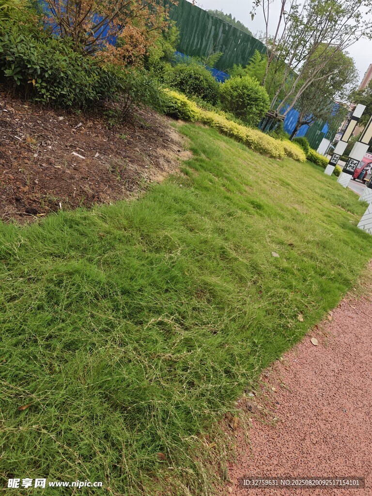 戶外翠綠草坪與小徑景觀