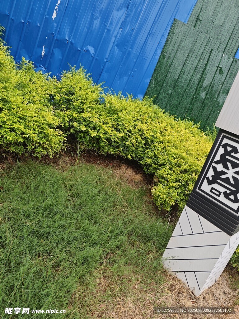庭院綠植景觀一角