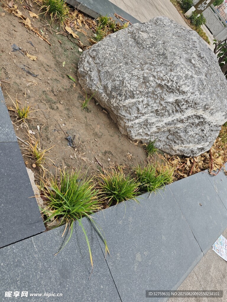 庭院中石頭與綠植景觀
