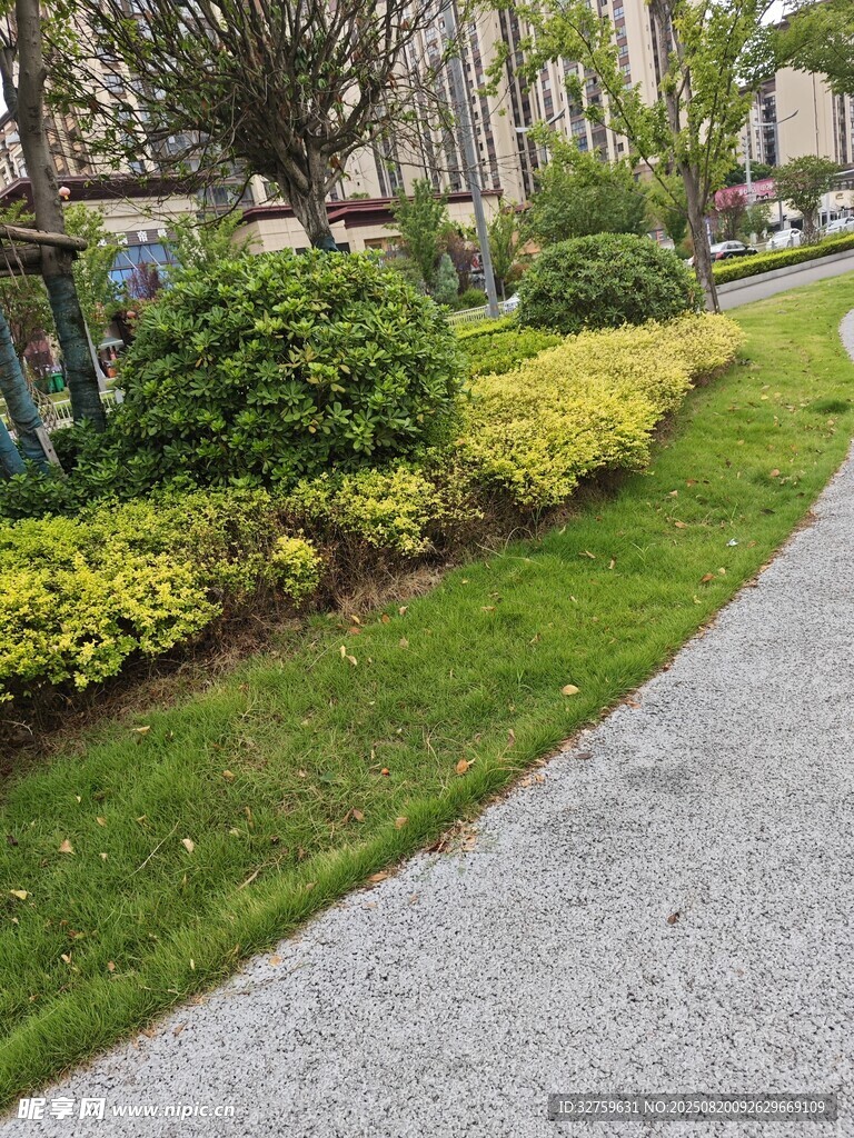 小區(qū)綠意盎然的景觀步道