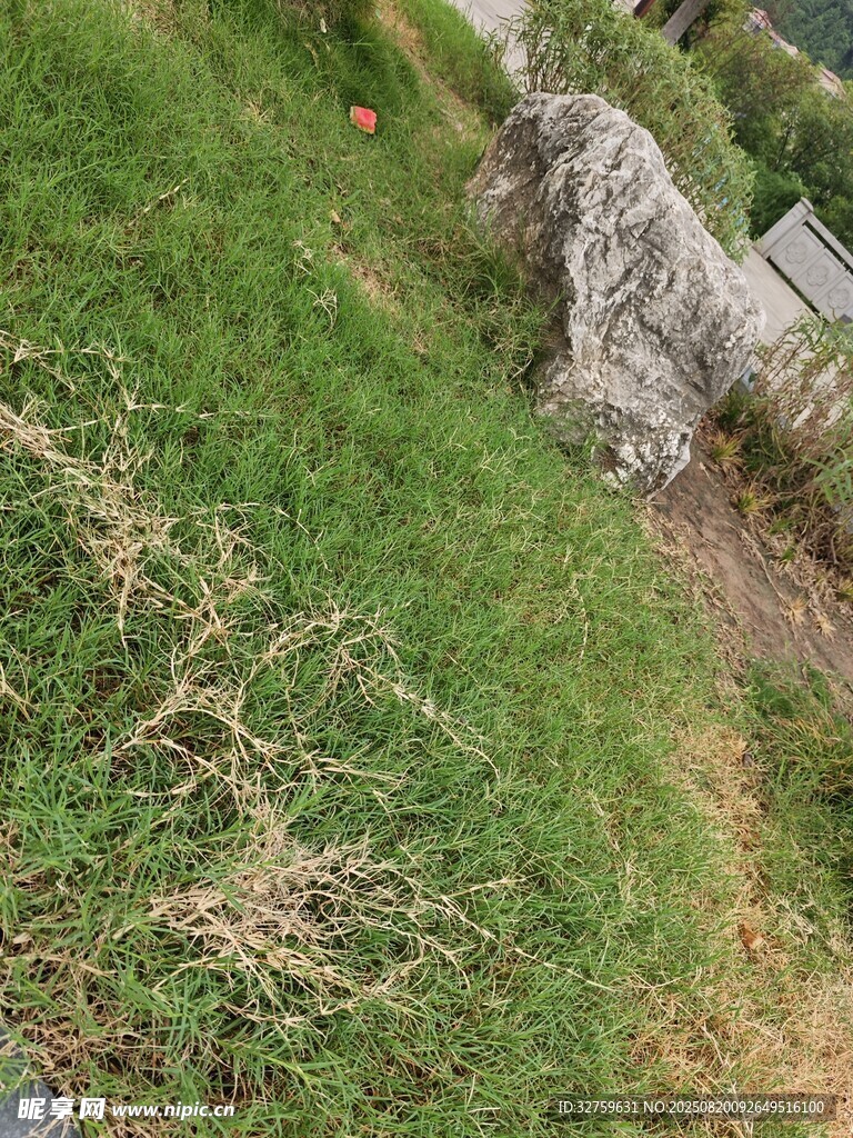 草地旁的巖石景觀