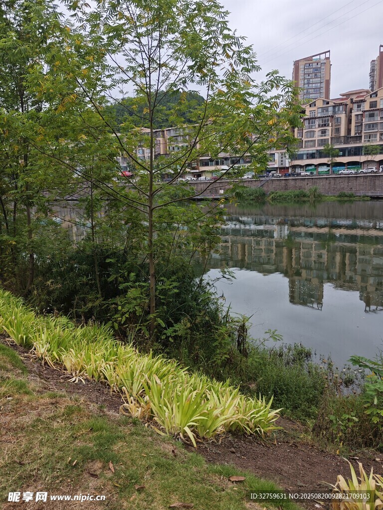 河畔綠植與遠(yuǎn)處建筑景觀
