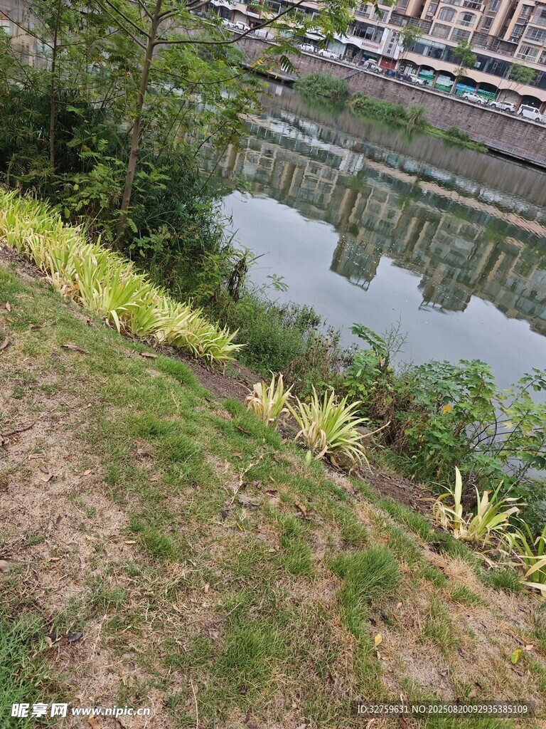 河畔綠植景觀