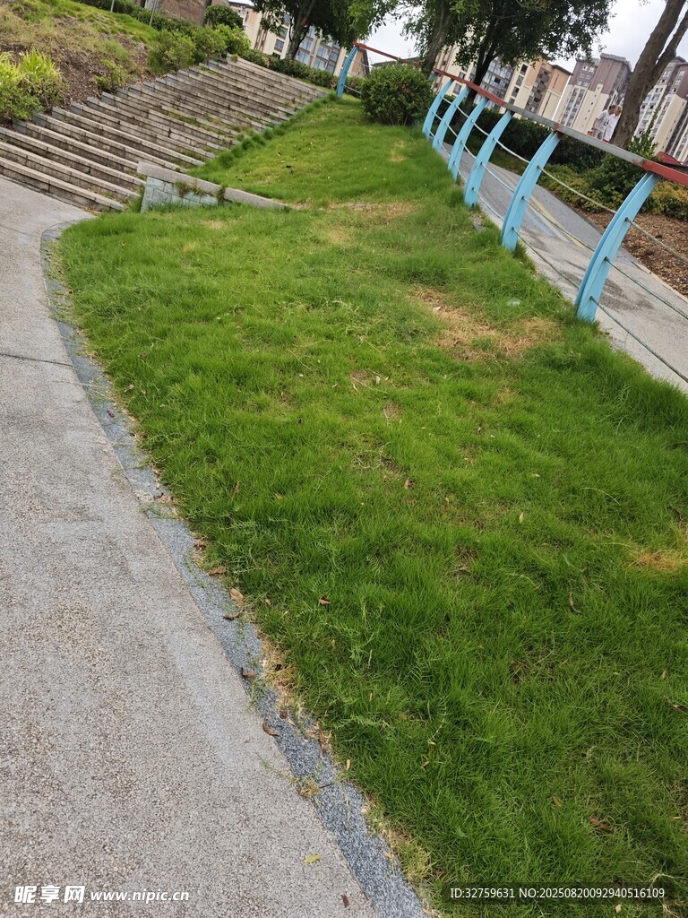 公園小徑旁的翠綠草坪