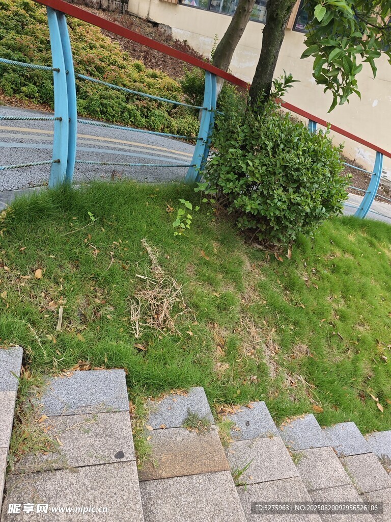 石階旁綠植點綴的景致