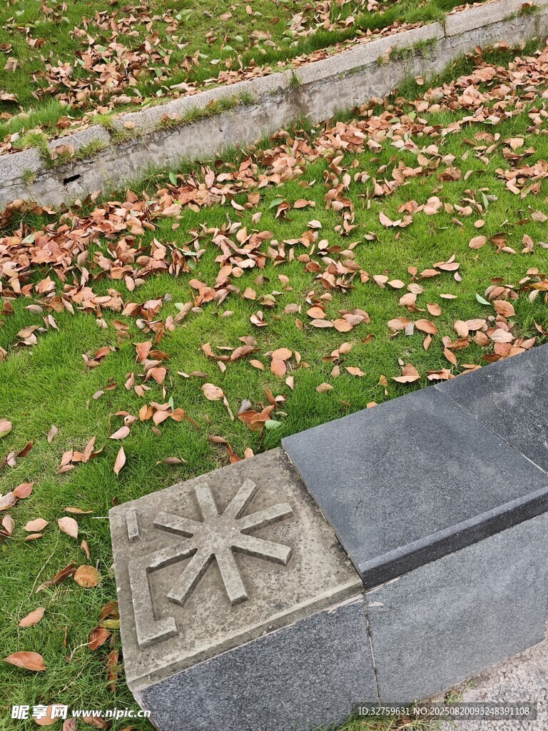 石上花紋與草地落葉景象