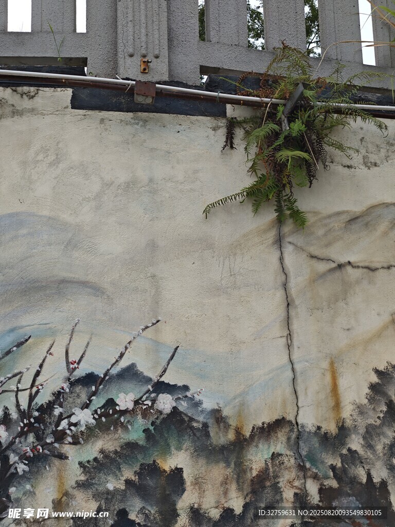 墻上綠植與藝術(shù)涂鴉景觀