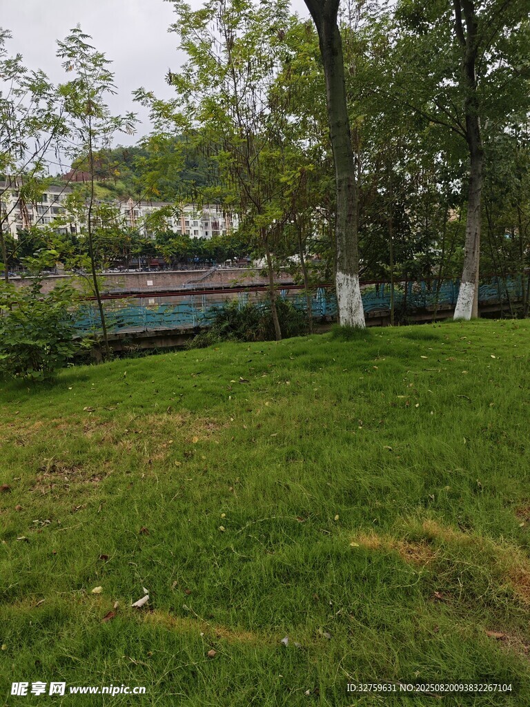 戶外草地與樹(shù)木景觀