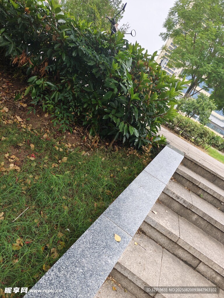 戶外石階旁的綠植景觀