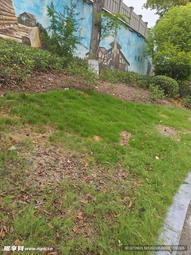 戶外草地與墻邊景致
