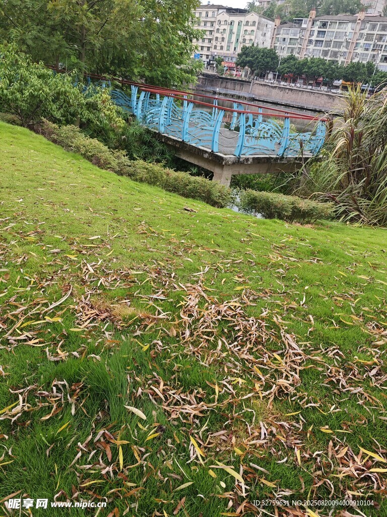 綠草如茵的戶外景致