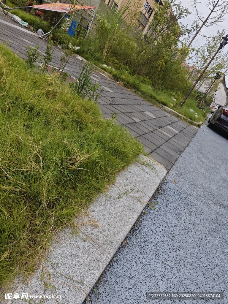 路邊雜草叢生的景象