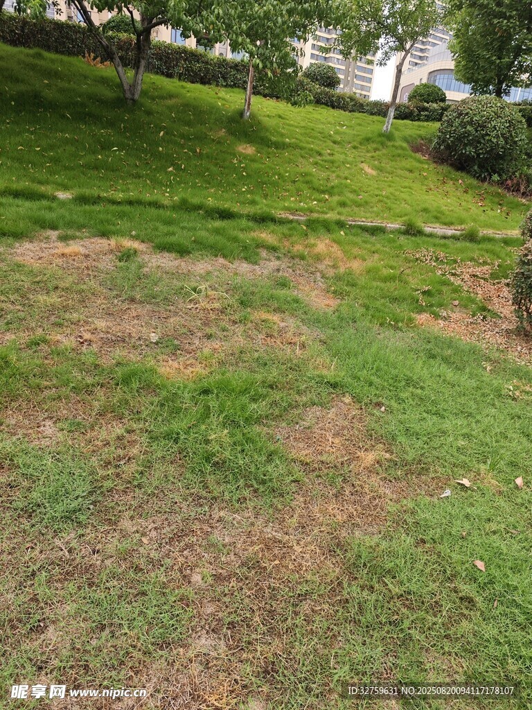戶外草地景觀