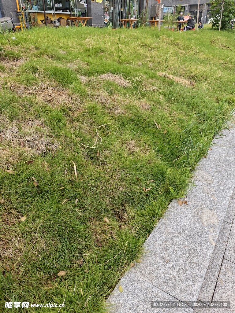 路邊草地景觀