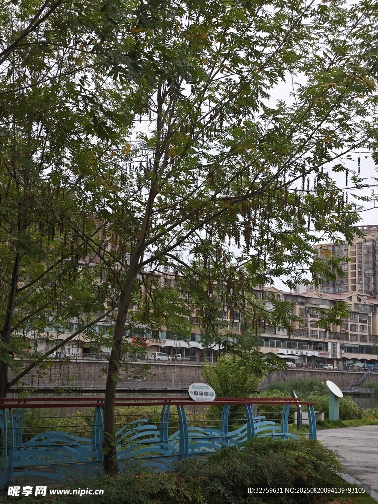 城市中的綠樹與休閑區(qū)域