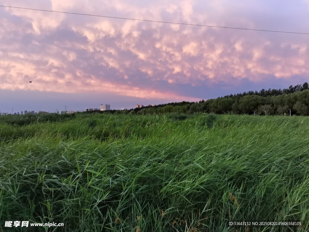 草原暮色美景