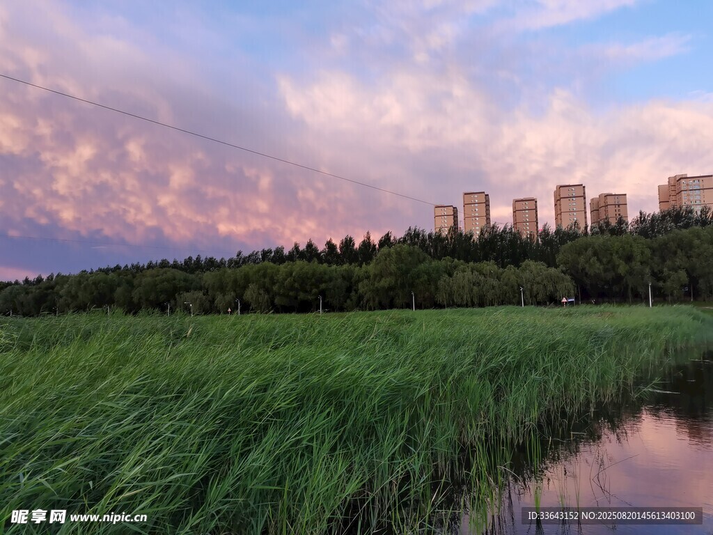 湖畔暮色中的城市與綠地