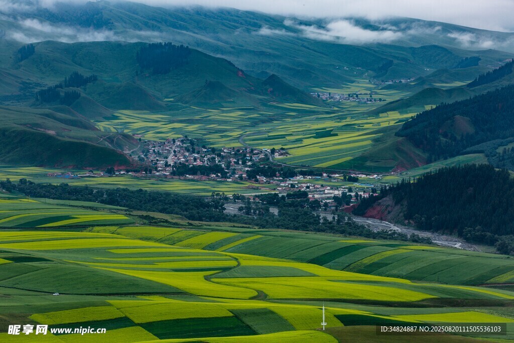 山間翠綠農(nóng)田美景