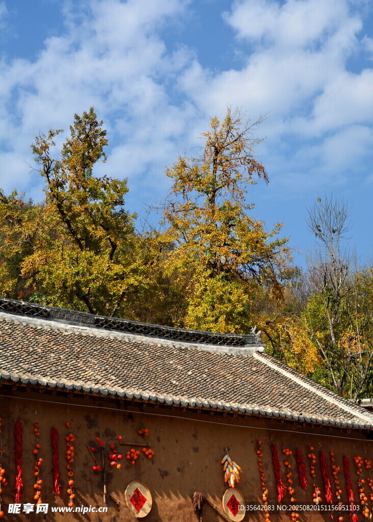 古建屋檐下的秋日美景