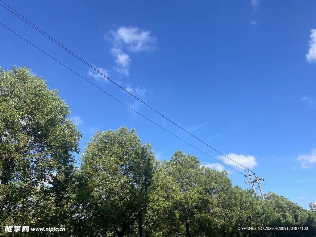 藍天綠樹美景