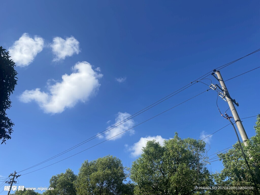 藍(lán)天綠樹間的電線桿