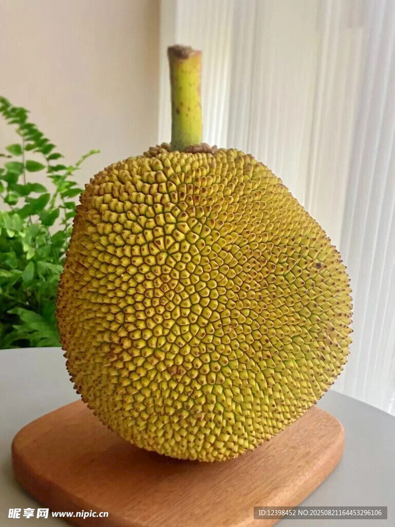 木盤上的大顆菠蘿蜜