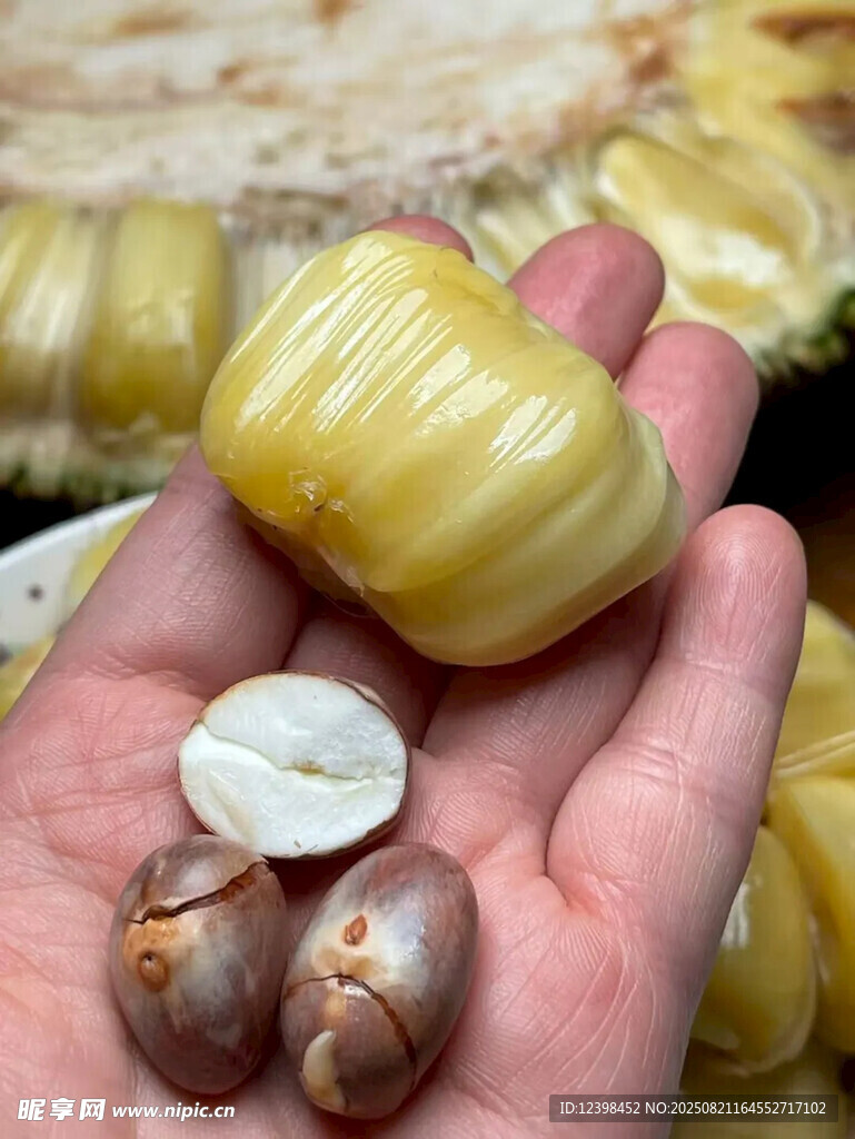 手中的美味菠蘿蜜及果核