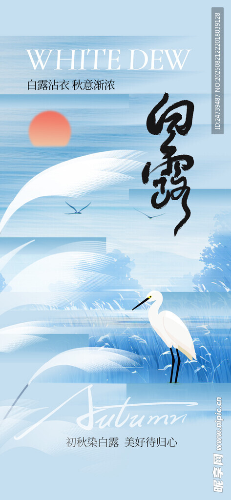 白露海報(bào)